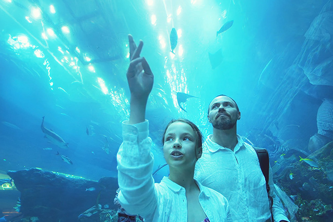 A girl and father in a sea life centre tunnel pointing at fish