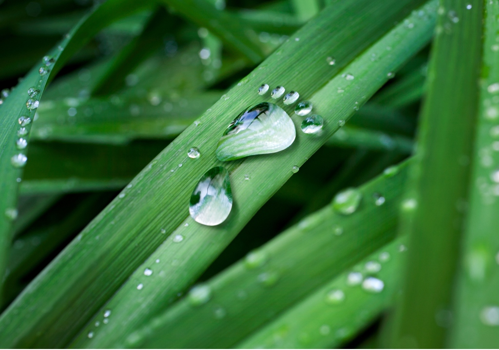 Water drop shaped like a foot to represent carbon footprint