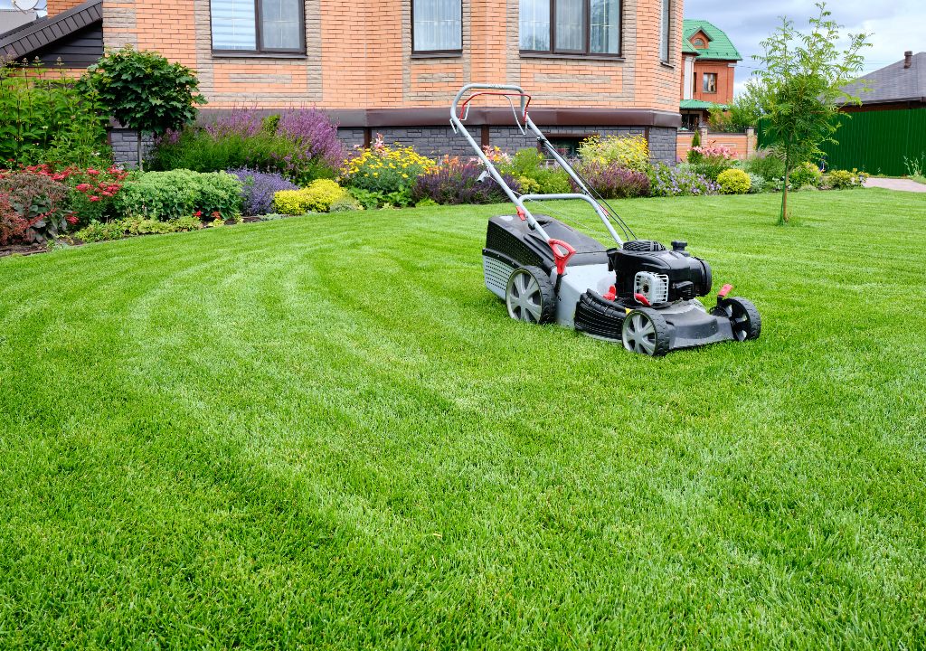 Lawnmower on lush green lawn